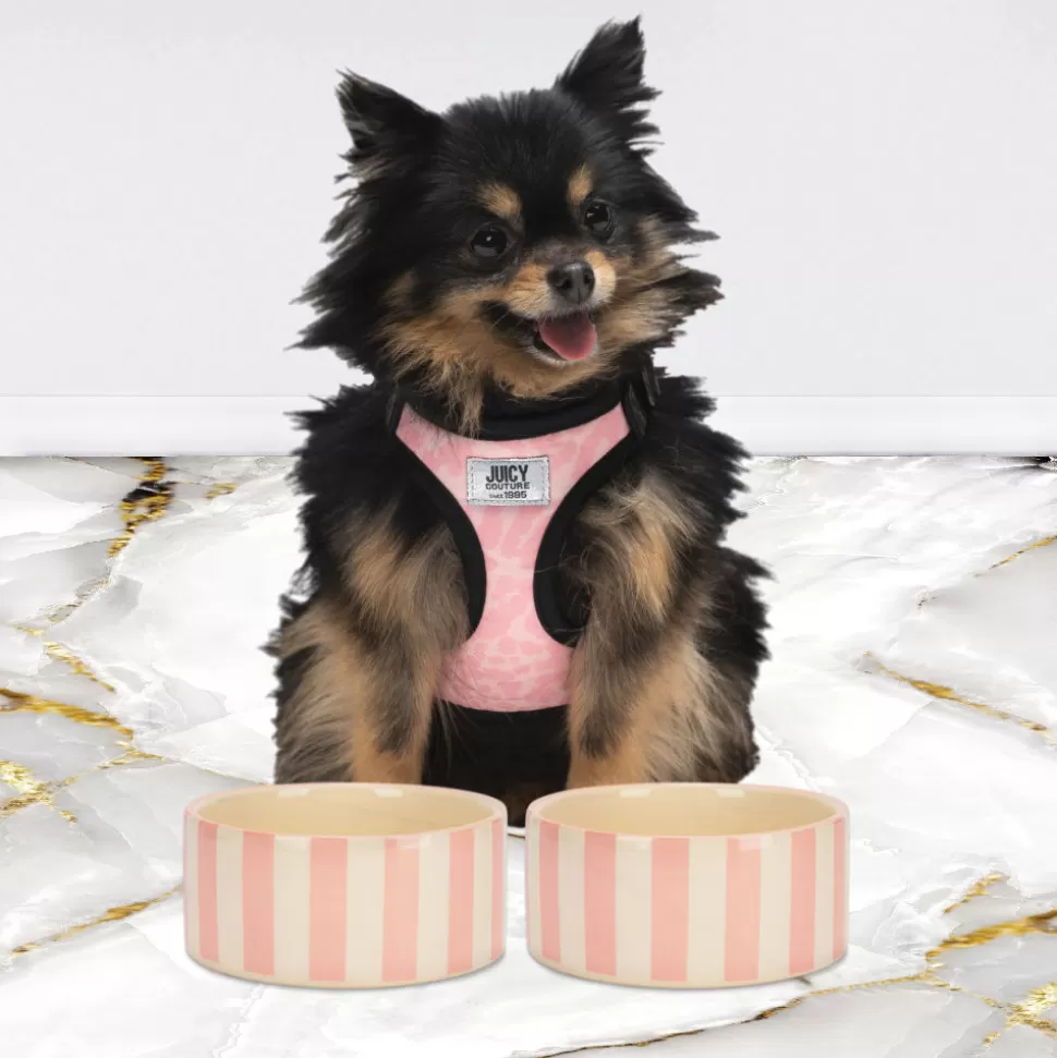 Juicy Couture Pet Bowls & Placemats^16oz Ceramic Bowl Set