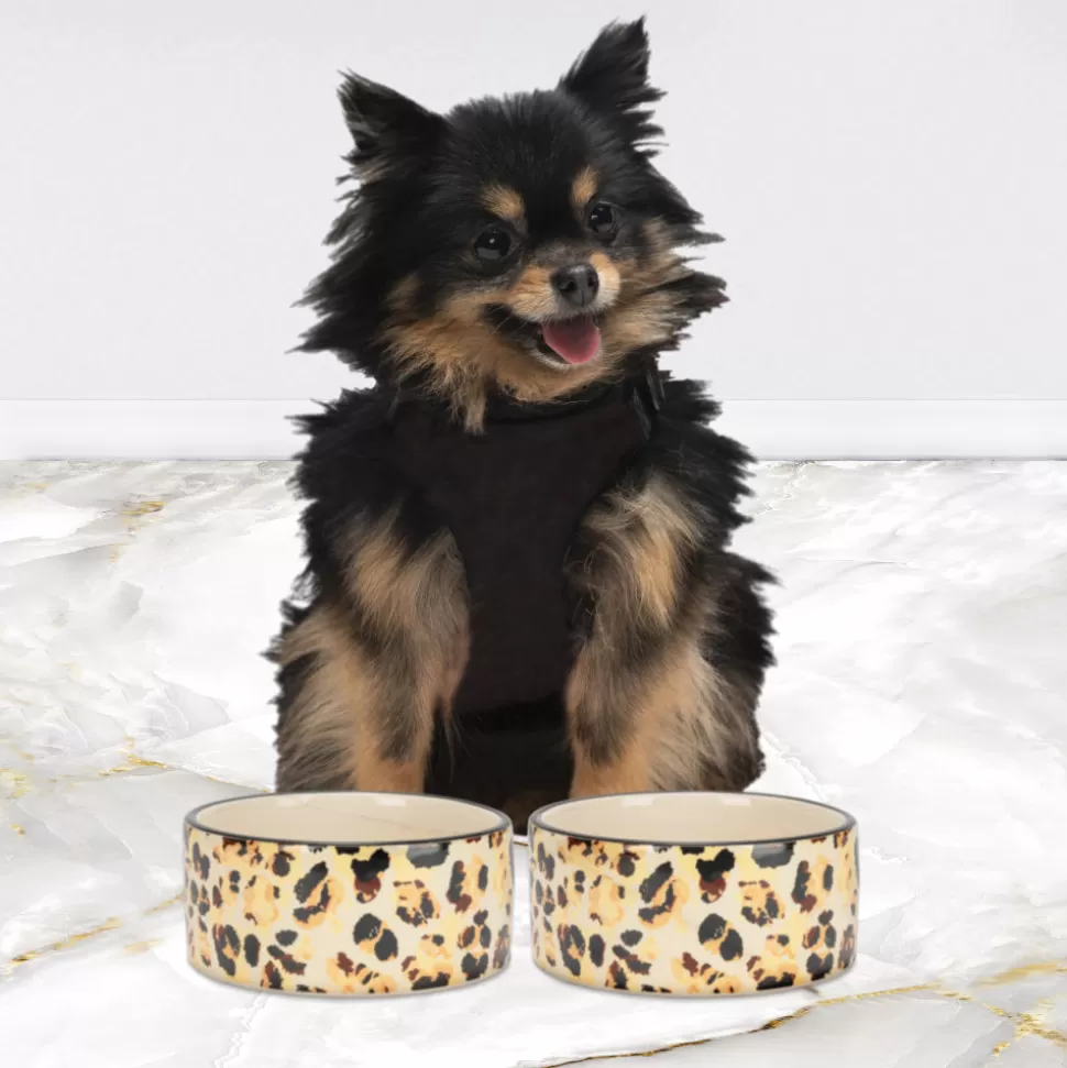 Juicy Couture Pet Bowls & Placemats^16oz Ceramic Bowl Set