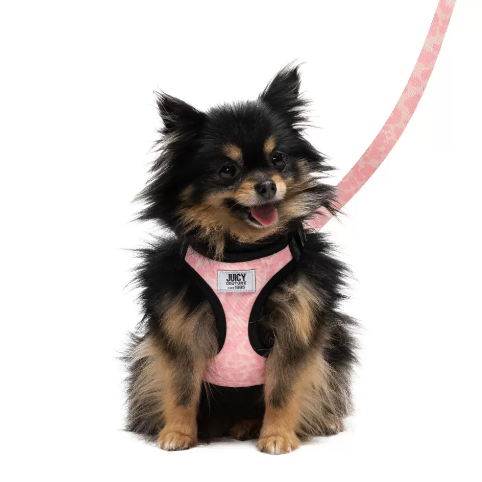 Juicy Couture Harnesses & Leashes^Harness & Leash Set