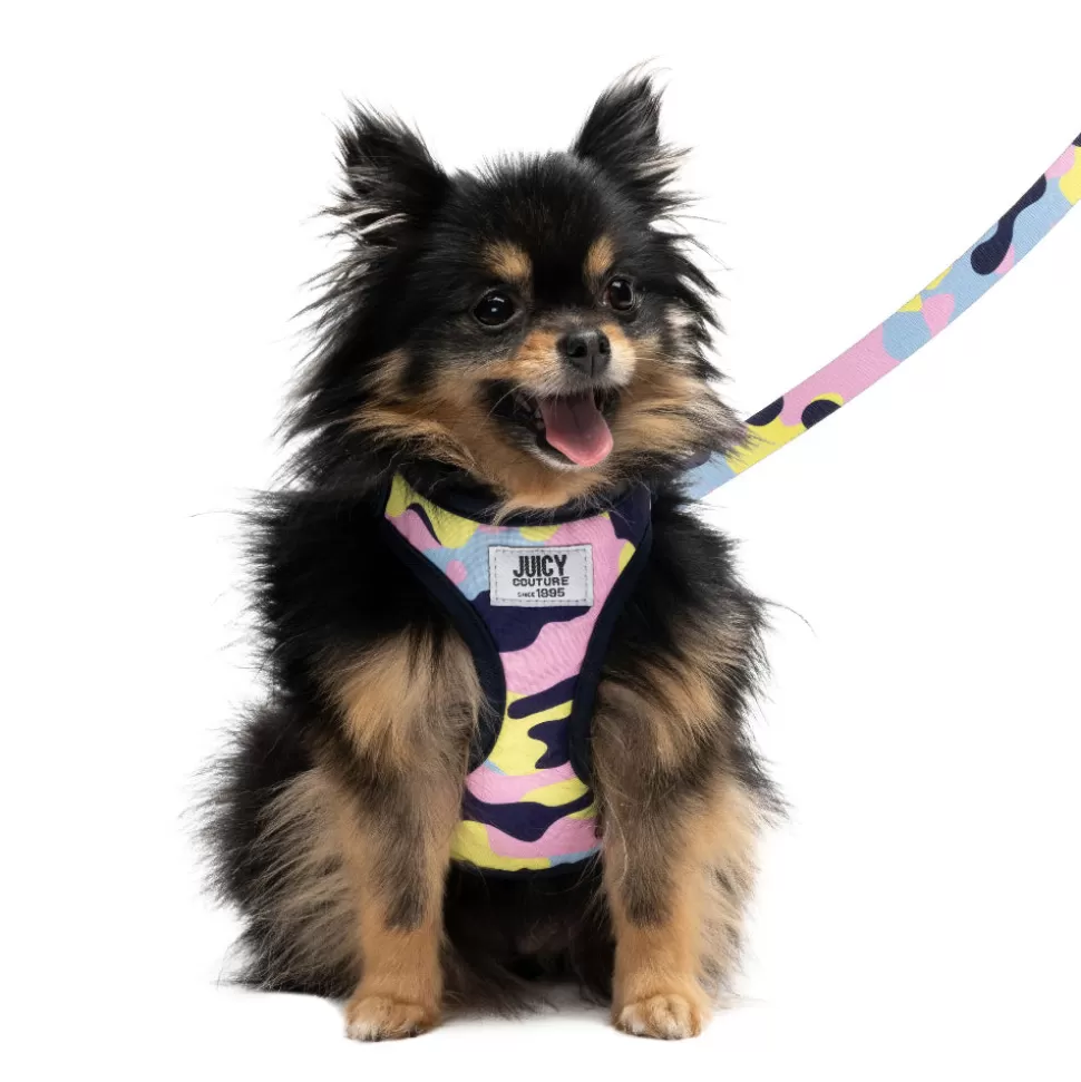 Juicy Couture Harnesses & Leashes^Harness & Leash Set